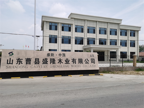 橋洞板設(shè)備廠房廠景